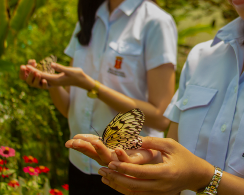 Butterflies at the Malita Ecopark inside the Malita Power Plant